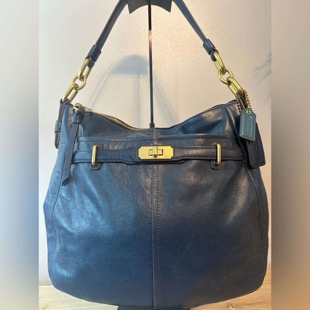 Coach Chelsea Ashlyn Hobo Satche